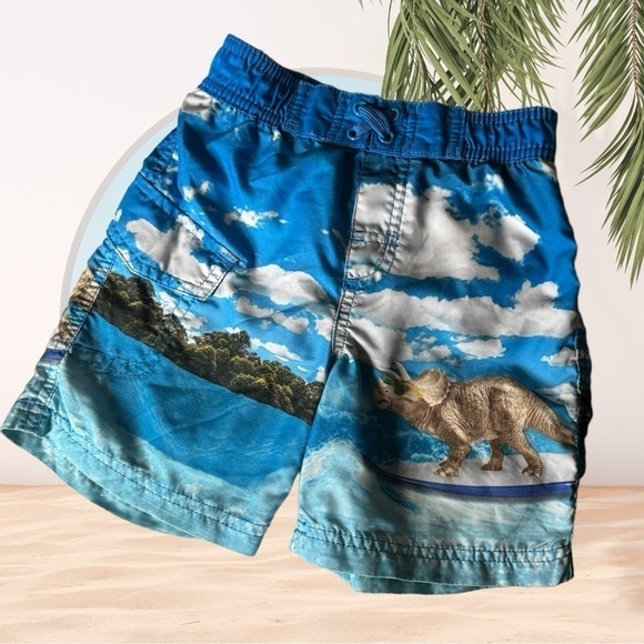 Dinosaur Toddler Swim Trunks - Picture 8 of 8
